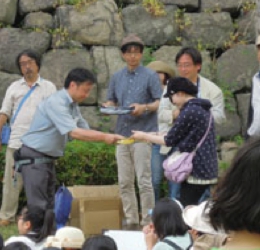 03.jpg